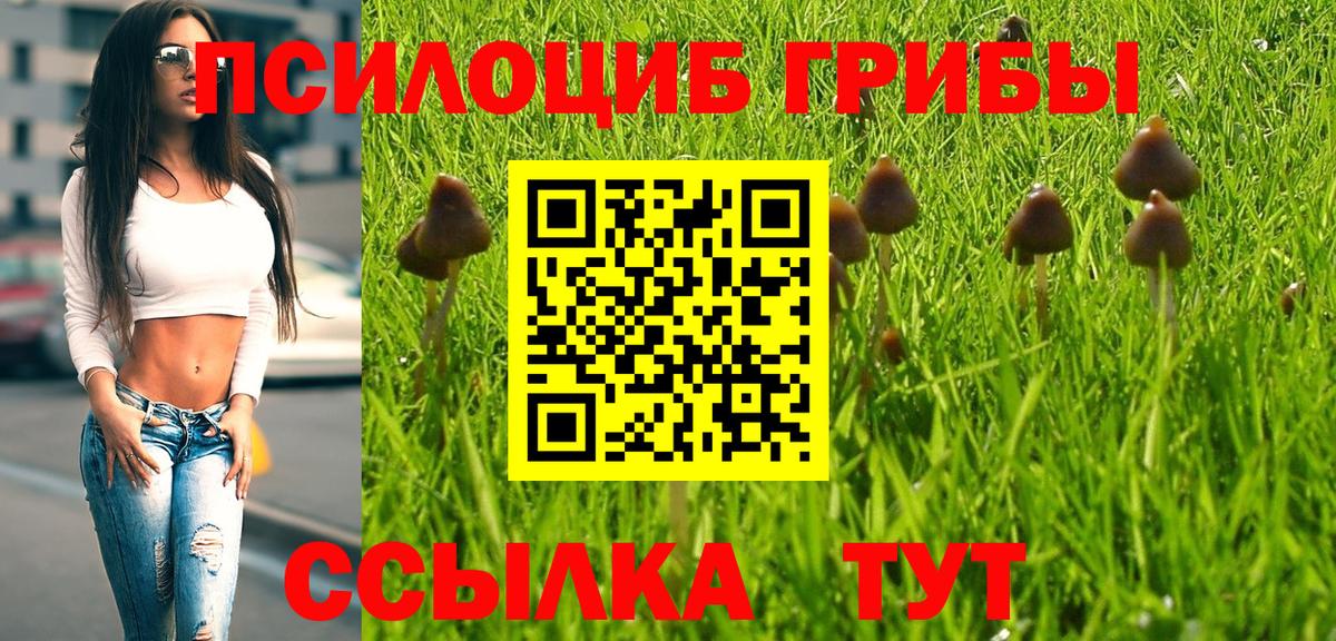 Псилоцибиновые грибы GOLDEN TEACHER Асбест